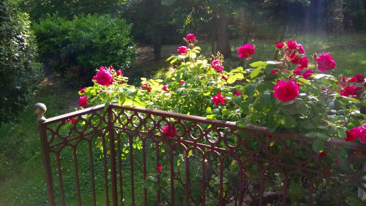 Domaine Du Parais B&B Соспел Екстериор снимка